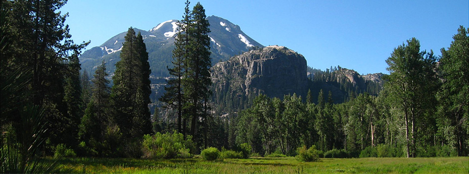 Parks, Open Space, and Agriculture