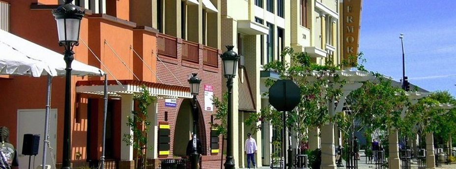 Downtown Tourism Profile​