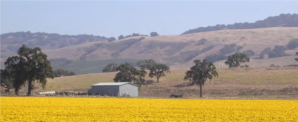 Santa Clara Valley Agricultural Plan